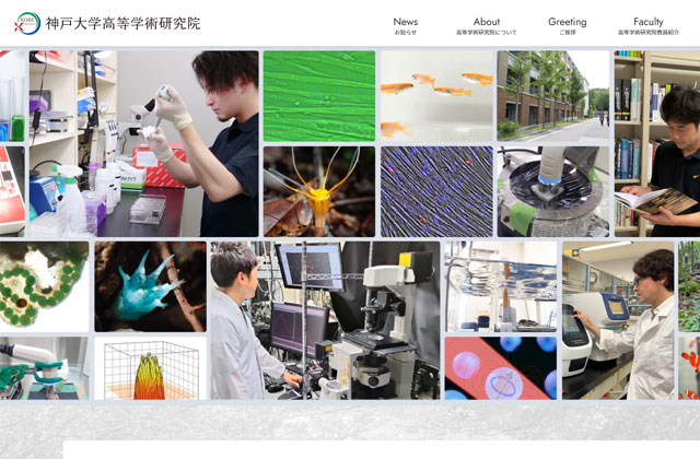Portfolio Image