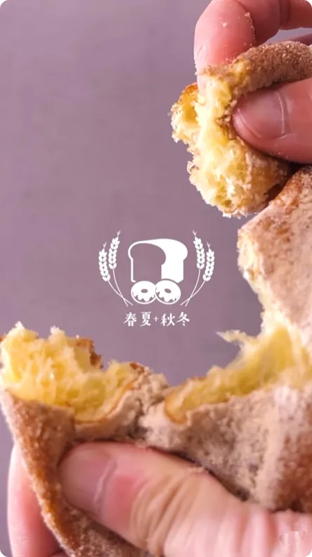 春夏+秋冬様