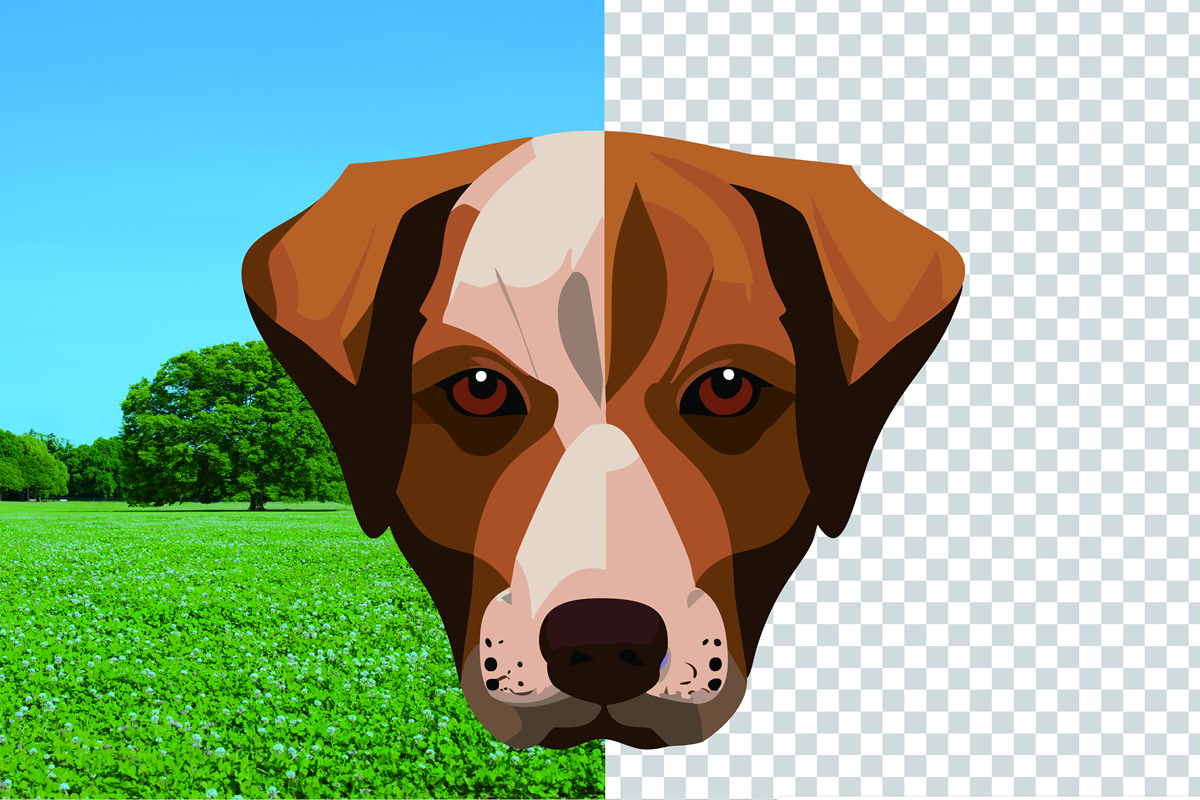 簡単！CSSだけで画像トリミングする方法【レスポンシブ対応「objectfit」と「aspectratio」】 PIPELINE株式会社