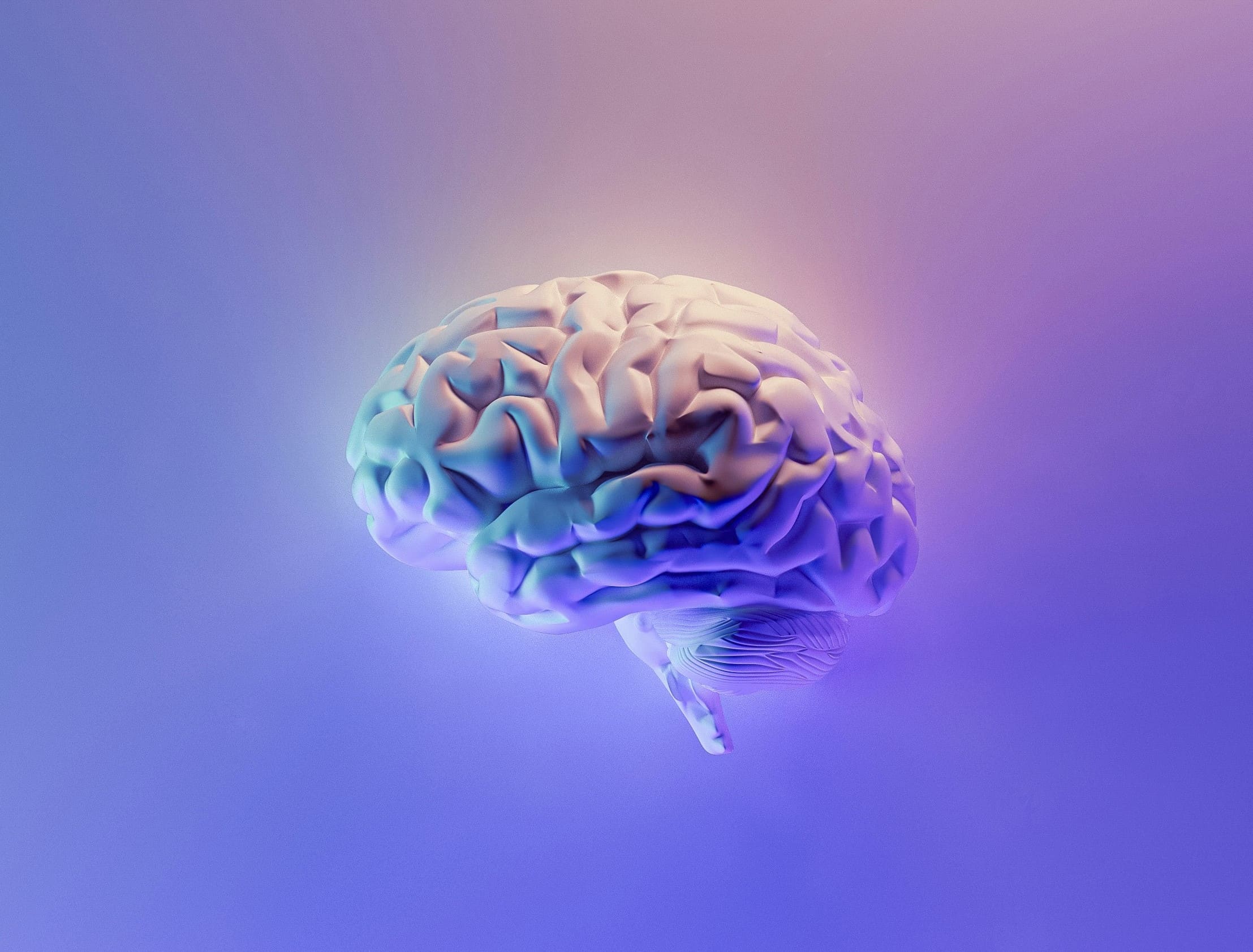 脳に騙されるな!うまく付き合え! PIPELINE株式会社