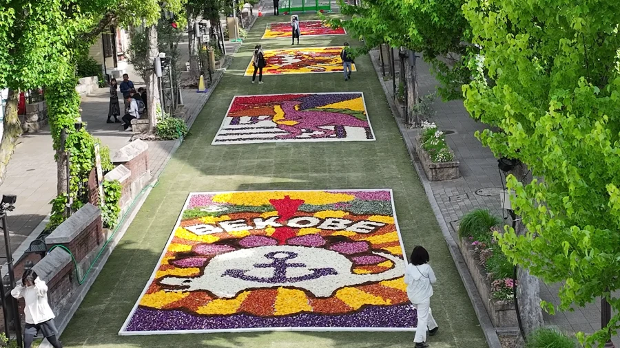 インフィオラータこうべ2025 花絵